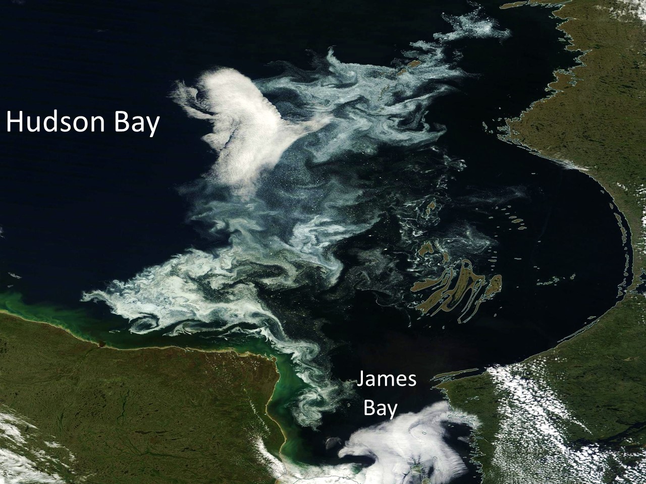 NASA MODIS image of sea ice persisting as far south as James Bay (Canada) on 8 August 2015.