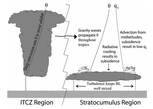 Conceptual model of how marine stratocumulus clouds are formed, from Fig. 1 in Caldwell and Bretherton (2009).