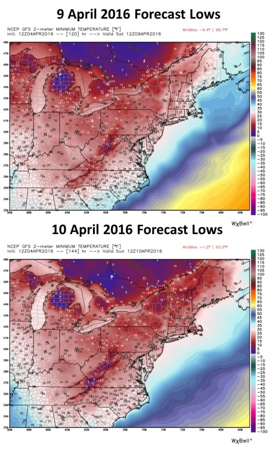 Morning low temperatures forecast from the GFS model for Saturday and Sunday (9-10 April 2016). Graphics courtesy of Weatherbell.com.