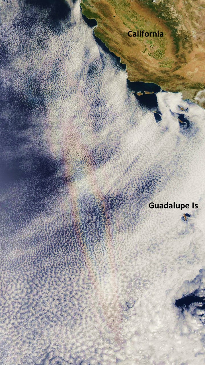 Optical glory phenomenon seen by the NASA MODIS imager on 16 June 2015.