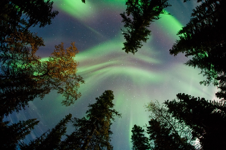 Aurora over Fairbanks, Alaska, by J.N. Hall, Sept. 12, 2014.