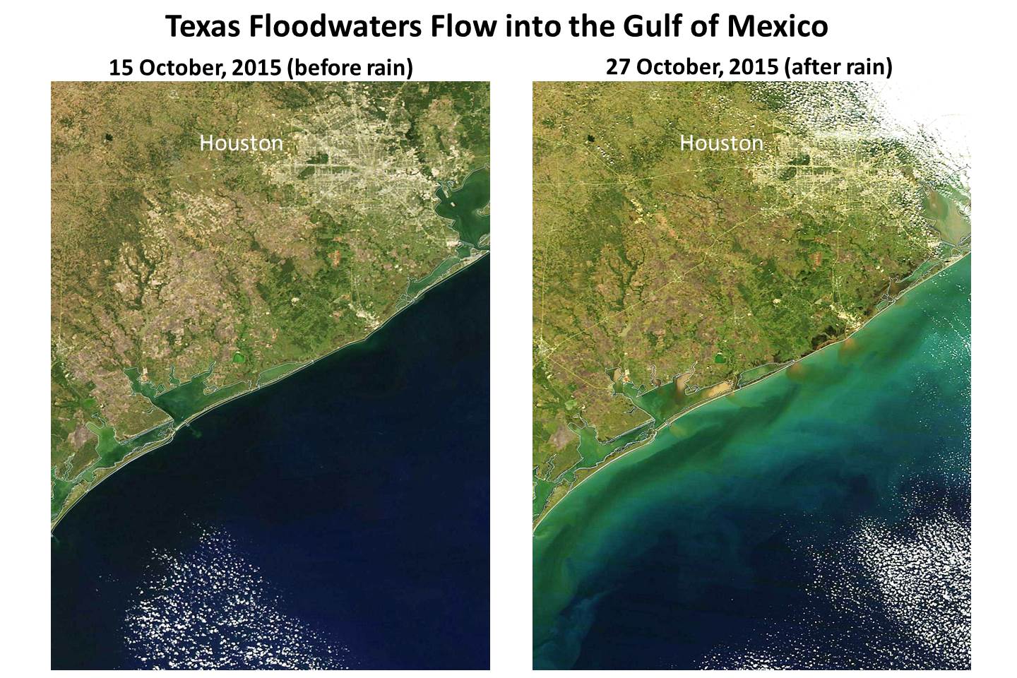 NASA MODIS imagery of Texas floodwaters entering the Gulf of Mexico.