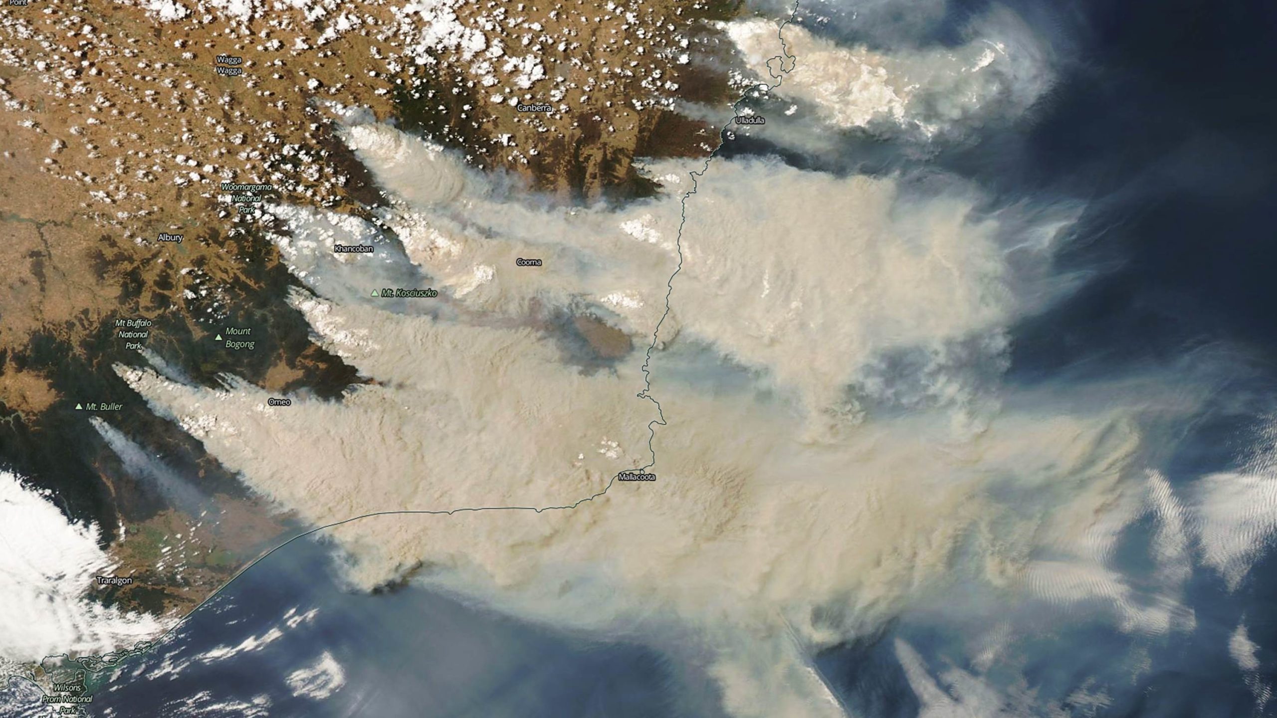 Are Australia Bushfires Worsening from Human-Caused Climate Change? picture