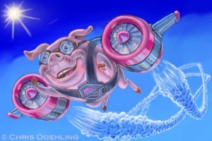 pig-flying