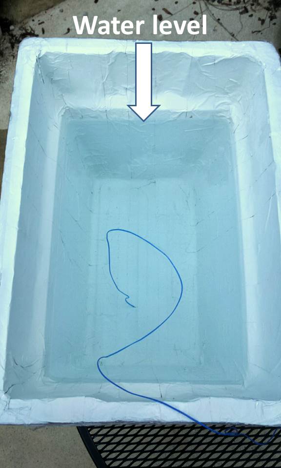 Partially water-filled Styrofoam cooler with a temperature sensor in the bottom. 